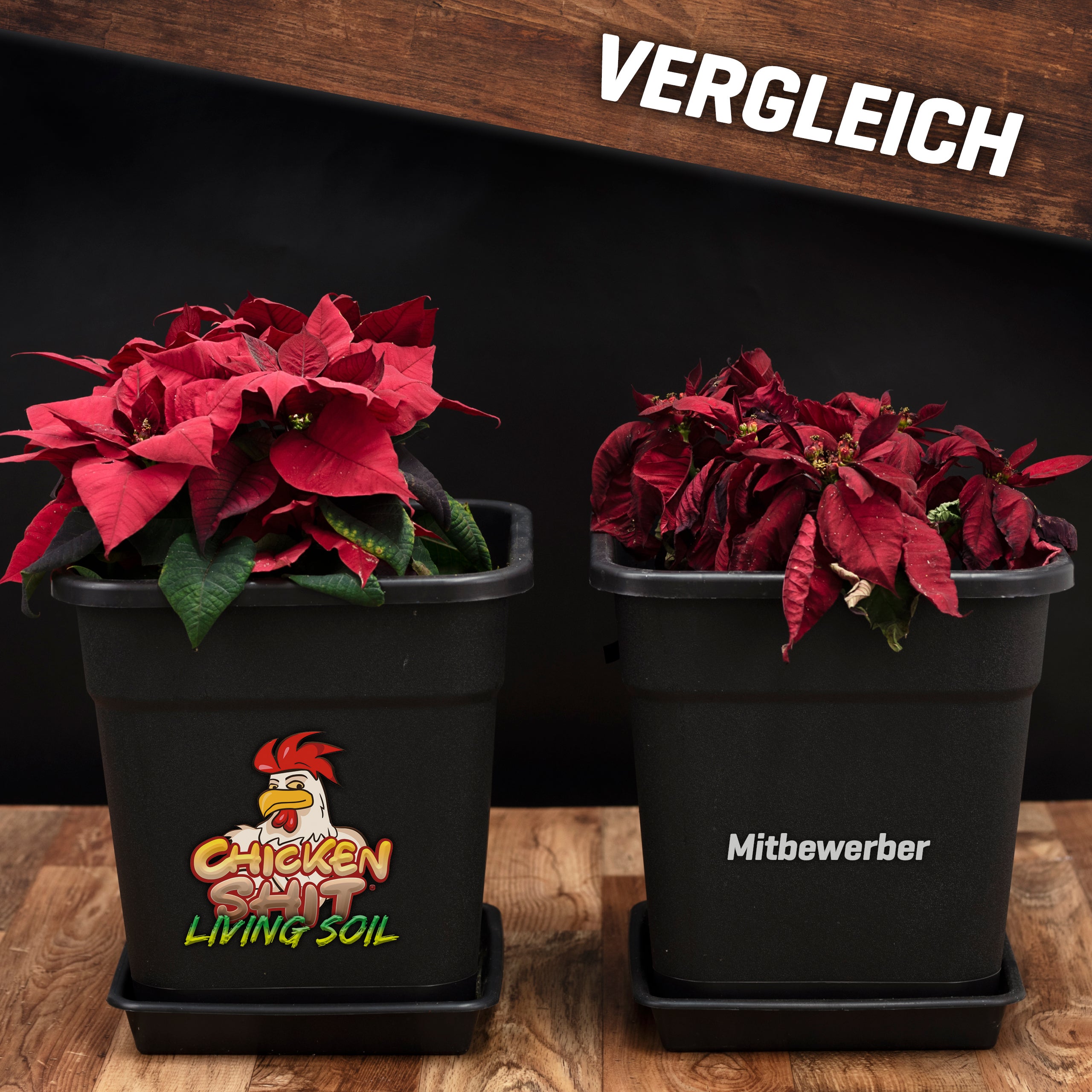 Plant BoOom Chicken Shit Living Soil Bio Dünger