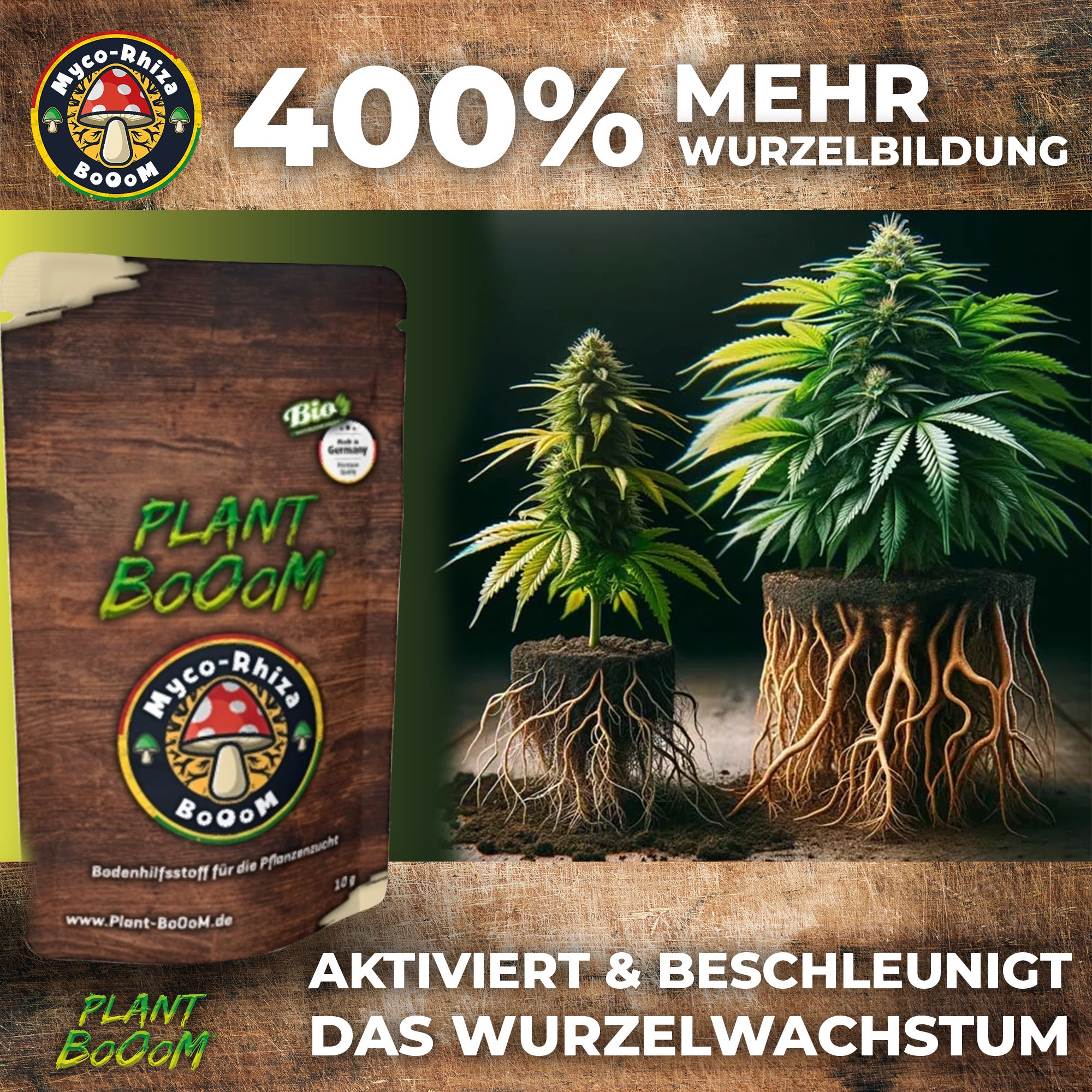 Plant BoOom Cannabis Starter-Set inkl 3 Fem. Seeds